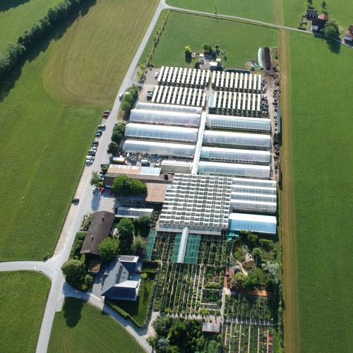 Dieses Foto wurde von der Firma TRAPP Die Blumen- und Gartenwelt GmbH hochgeladen, die am Standort 5202-Neumarkt am Wallersee / Österreich Personal sucht und damit in einer Bildergalerie von max. 5 Bildern ihre Stelleninserate mit thematisch passenden Fotos ergänzt