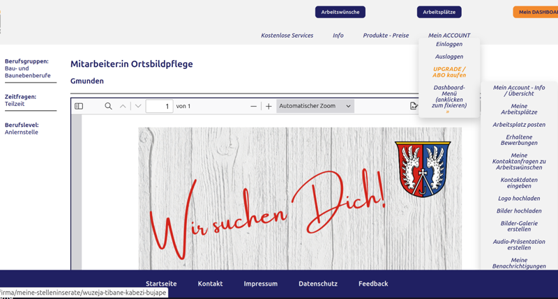 Auf diesem Screenshot sieht man, wie das Stelleninserat nach dem erfolgreichen Hochladen der PDF-Vorlage aussieht.