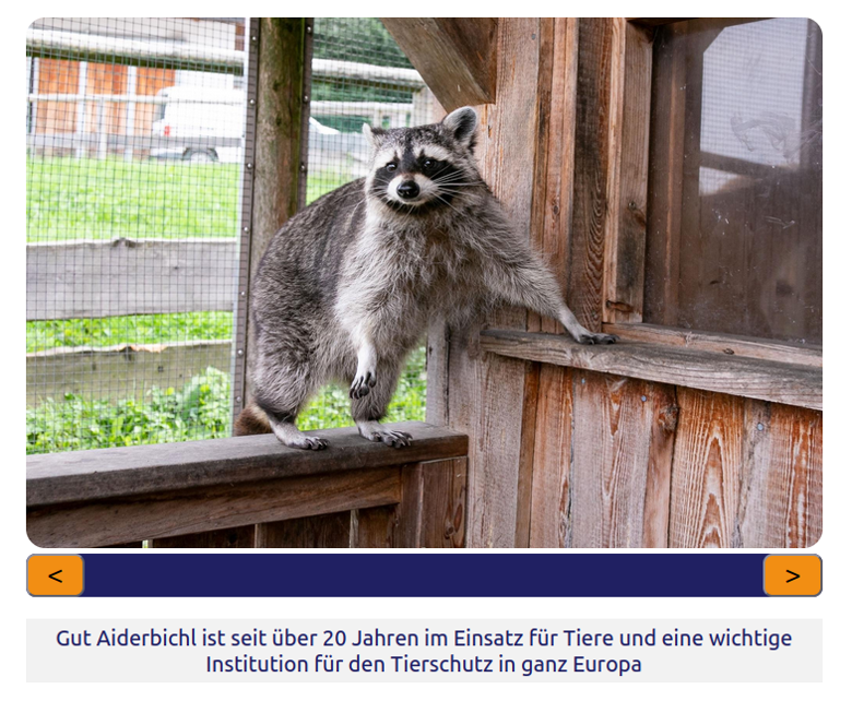 Mehr sogar: Bildergalerien