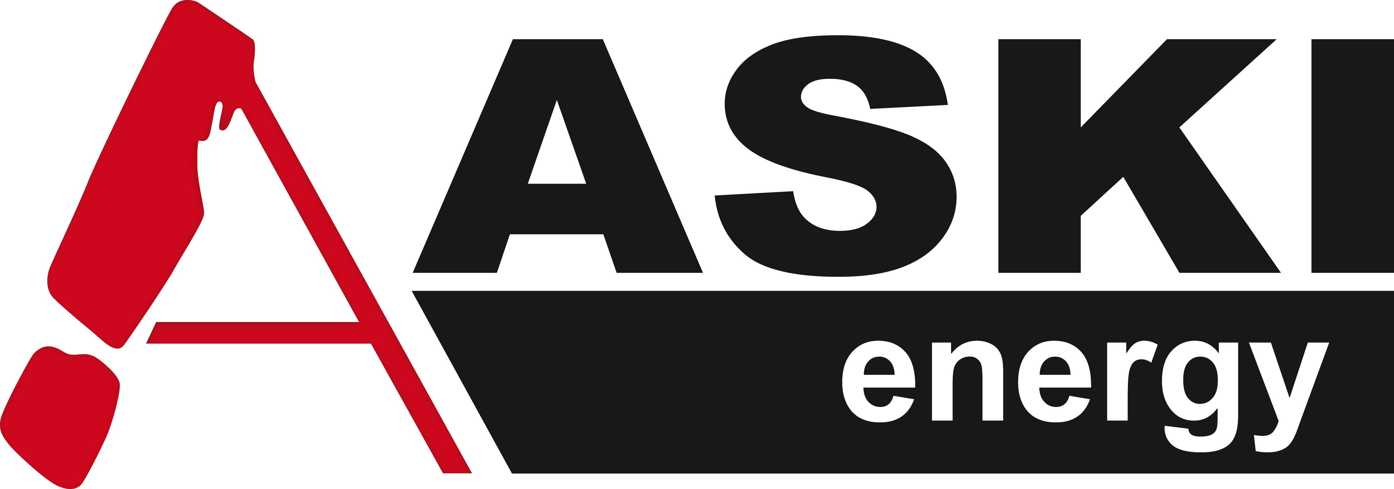 Logo von ASKI Industrie-Elektronik GmbH